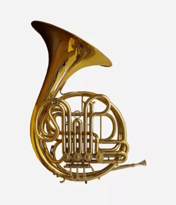 Full Double French Horn